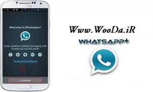 whats app+